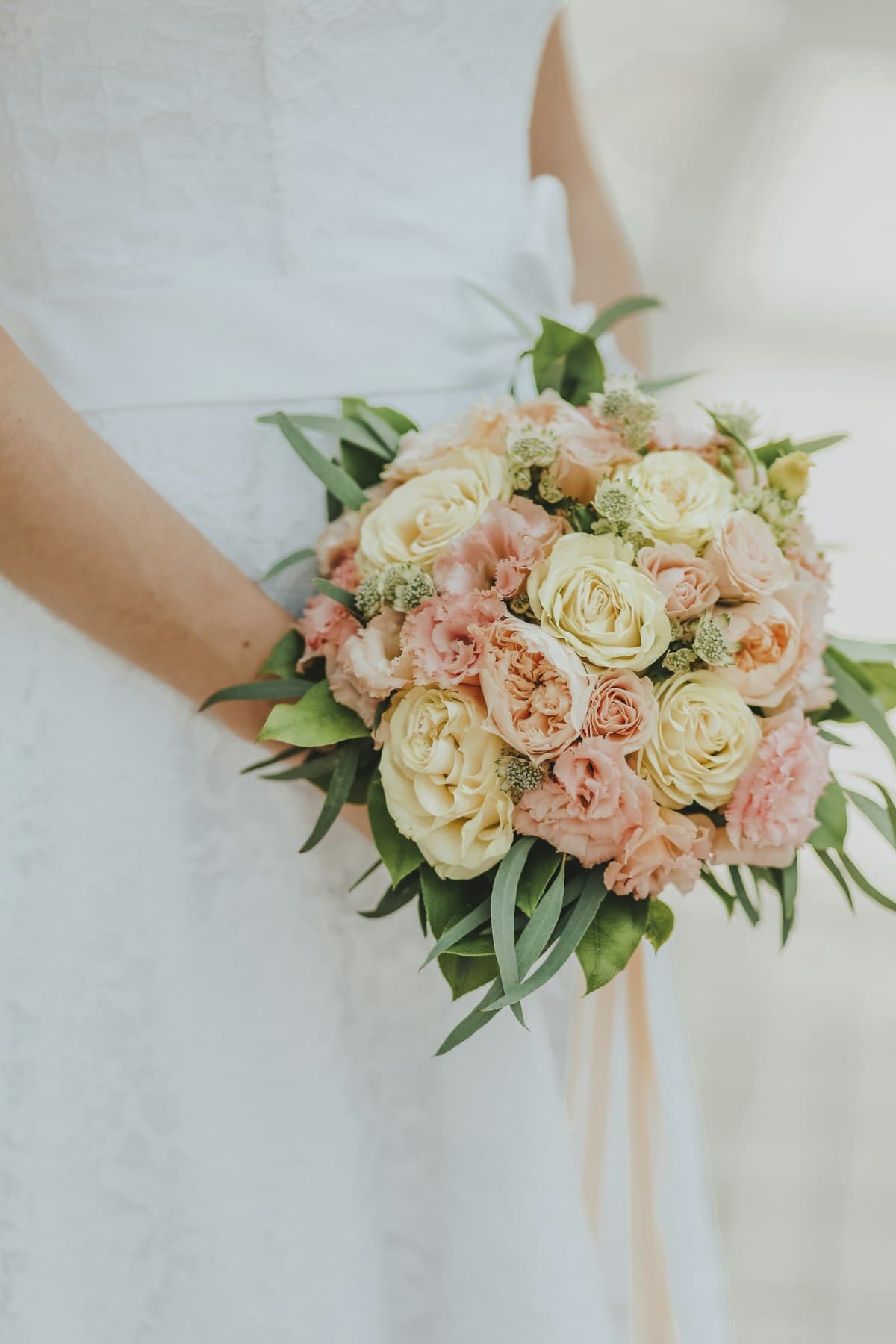 Bouquet of cream and blush roses